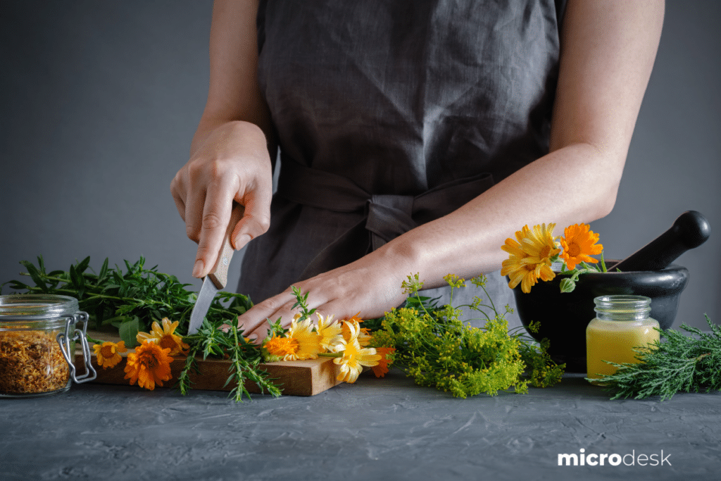 naturopathe auto-entrepreneur