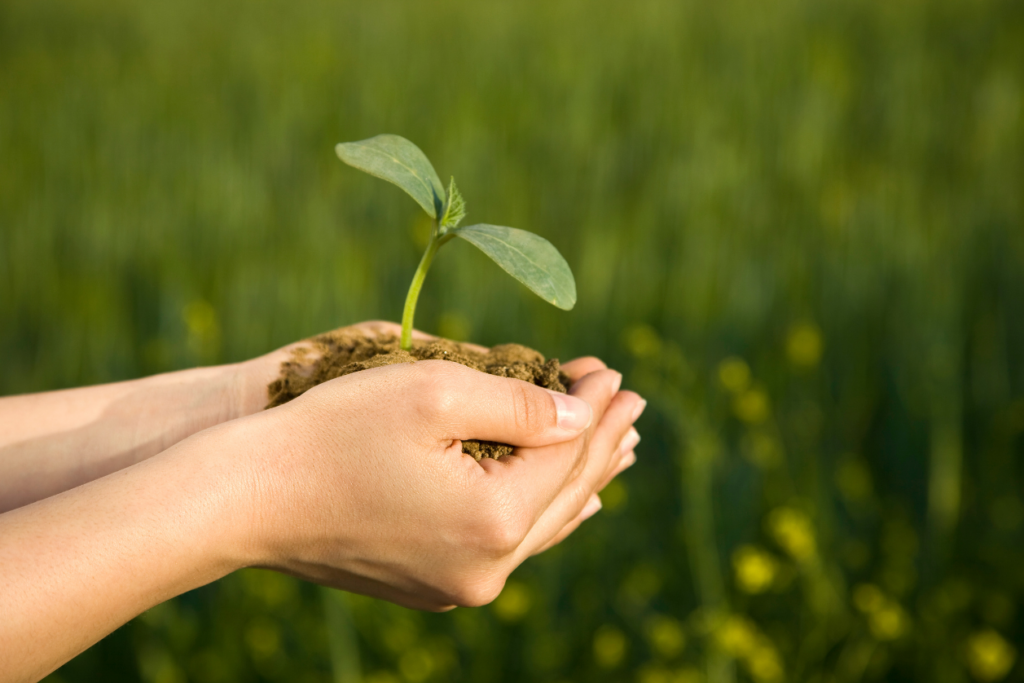 Comment devenir consultant en biodiversité auto-entrepreneur